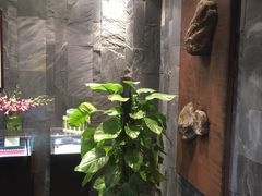 -山水雅居·江南雅宴(运河公园店)