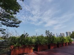 -福田红树林生态公园