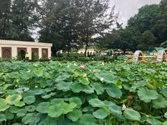 -龙环葡韵住宅式博物馆