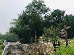 -阳台山自然风景区