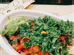 -油梨树 AVOCADO TREE(亮马桥店)