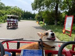 -上海海湾国家森林公园