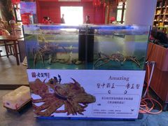 -老蒲鲜(涵江店)