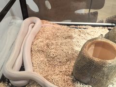 -上海昆虫博物馆