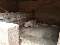 -北戴河集发农业梦想王国