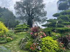 -南宁南湖公园
