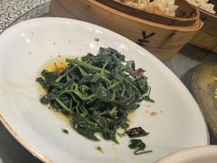 -真定郝家排骨(正定县总店)