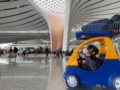 -麦当劳(北京大兴机场二层国内到达(安检外)店)