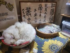 -平行世界·猫咖(首经贸店)