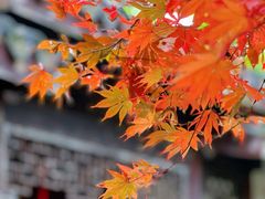 -惠山古镇·寄畅园