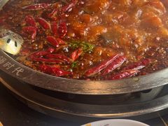 -一斗火锅·招财羊毛肚(北温泉九号店)