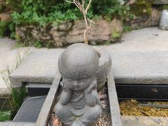 -丁丁厨娘