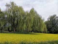 -北坞公园