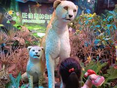 -正佳雨林生态植物园