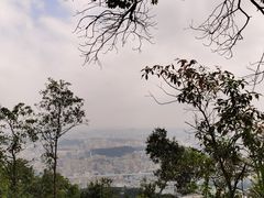 -阳台山森林公园
