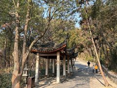 -灵岩山风景区