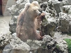 -上海动物园(地铁站)