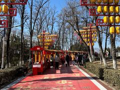 -青龙湖公园