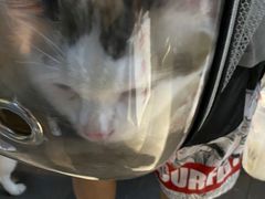 -星巴克臻选(上海合生汇1F店)