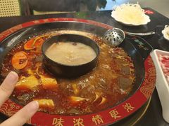 -三江两海老火锅(北京首店)