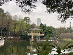 -晓港公园