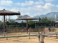 -杭州野生动物世界