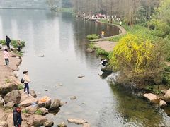 -重庆彩云湖湿地公园