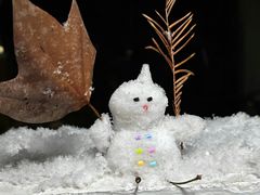 -喜茶(深圳壹方城DP店)