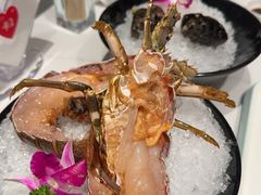 -海月轩海鲜豆捞(紫金塔店)