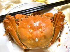 -老字号蛇口德记烧腊饭店·海鲜加工