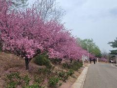 -鹫峰国家森林公园