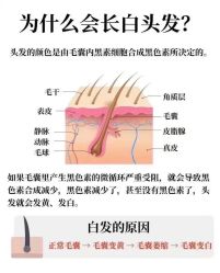 -希梵尔头皮抗衰·科技养发