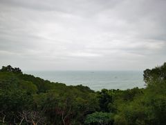 -广东惠东海龟国家级自然保护区