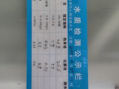 -广西体育中心-游泳馆