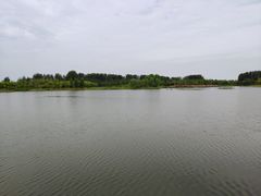 -东郊湿地公园