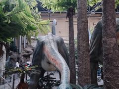 -国家自然博物馆