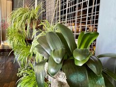 -肴约·花园式餐厅(湖里店)