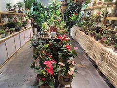 -双季花艺园艺市场(浦东店)