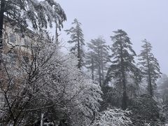 -峨眉山风景名胜区