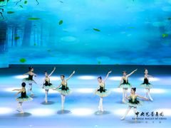 -中央芭蕾舞团·中芭艺蕾(酒仙桥明星校区)