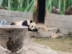 -南昌动物园