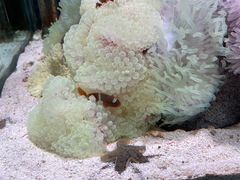 -太平洋海底世界