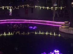 -枫花园汽车电影院(朝阳公园店)