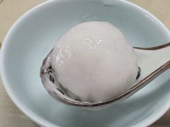 -海丝金凤(金鱼店)