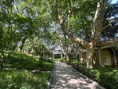 -徐家汇源景区-衡山公园