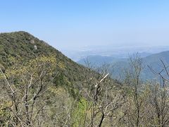 -北仑森林植物园