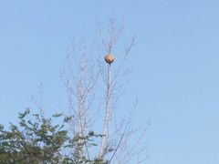 -白鹭湾湿地公园