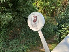 -狐尾山公园