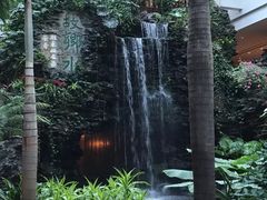 -白天鹅宾馆·流浮阁咖啡厅