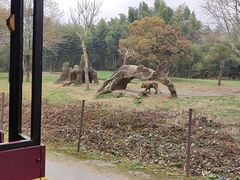-杭州野生动物世界